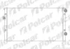 Радиаторы охлаждения POLCAR 953808A5 (фото 1)