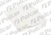 Салонный фильтр POLCAR PC8196 (фото 1)