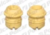 Отбойник POLCAR S030003 (фото 1)