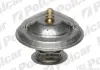 Термостаты POLCAR U6M119I (фото 1)