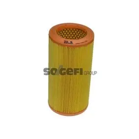 Air filter, primary. Фильтр воздушный, основной PURFLUX A859