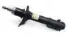 Амортизатор RAISO RS170160 (фото 1)