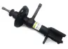 Амортизатор RAISO RS217003 (фото 1)