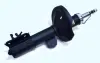 Амортизатор RAISO RS317151 (фото 1)