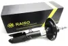 Амортизатор RAISO RS317193 (фото 1)