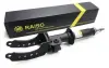 Амортизатор RAISO RS317242 (фото 2)