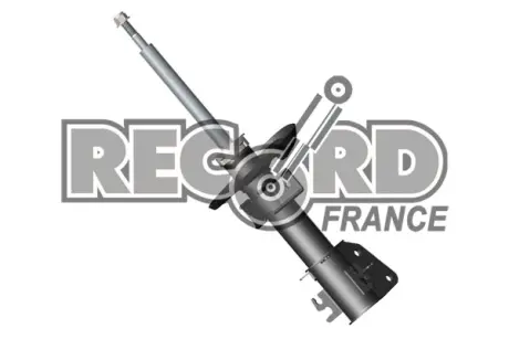 Амортизатор renault master iii 04.10> av RECORD-FRANCE 104832