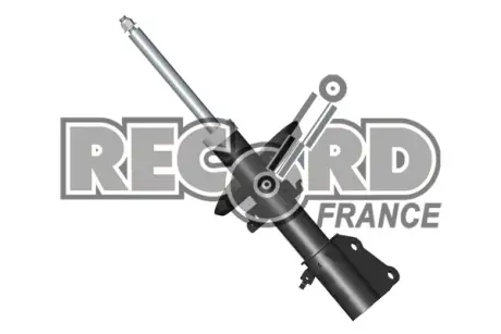 Амортизатор RECORD-FRANCE 334651