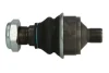 Рульовий шарнір CASE IH 120 CVX, 130 CVX, 170 CVX CLAAS 816, 816 RZ, 826, 826 RZ, 836, 836 RZ NEW HOLLAND T7540, T7550, 190, 195 REINHOCH RH54A100 (фото 2)
