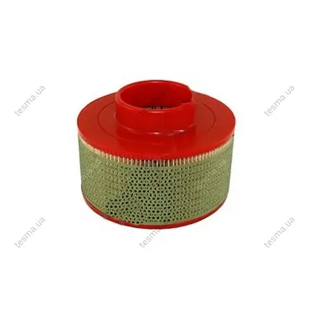 air filter. фильтр воздушный REMEZA 4092100500 - фото 1