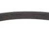 К-кт пасу поликлинового (з роликами) MERCEDES A (W176), B (W246, W242), CITAN (415), CITAN MIXTO (415), CLA (C117), CLA SHOOTING BRAKE (X117), GLA (X156) DACIA DOKKER 1.5D/1.5DH 06.08- RENAULT/DACIA 117202495R (фото 6)