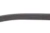 Комплект ременя генератора Renault Duster 1.5dCi 10- (6PK1178) RENAULT/DACIA 117202506R (фото 6)