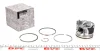 Поршень RENAULT/DACIA 120A10282R (фото 1)