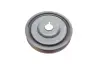 Шків колінвалу Renault Megane/Kangoo/Clio 1.5 dCi 08-/05- (6PK) RENAULT/DACIA 123030453R (фото 6)