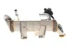Радіатор рециркуляції ВГ Renault Master III/Opel Movano 2.0-2.3dCi 10- (клапана EGR) RENAULT/DACIA 147350782R (фото 1)