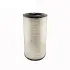 Air filter, primary. Фильтр воздушный, основной RENAULT/DACIA 5001865725 (фото 1)