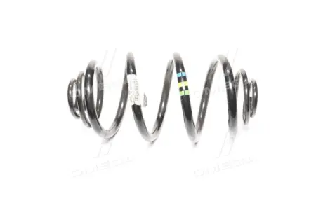 Пружина підвіски RENAULT/DACIA 550207529R