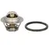 Thermostat, cooling system. Термостат, система охлаждения RENAULT/DACIA 7700872554 (фото 1)