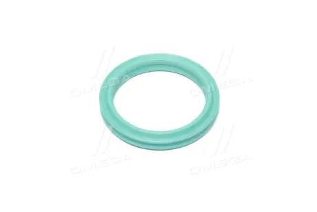 Прокладка зливної пробки RENAULT/DACIA 7701066088