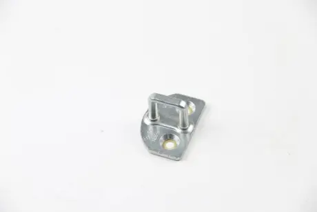 Петля замка двері kangoo ii RENAULT/DACIA 8200219250