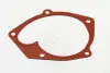 Прокладка водяної помпи Renault Clio III/Kangoo/Laguna/Trafic 1.5dC/1.9Dci 06.01- RENAULT/DACIA 82 00 317 471 (фото 1)