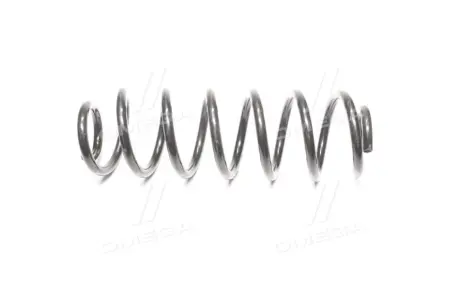 Пружина підв. VW Passat 05-10 задн. RIDER RD28110069