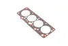 Прокладка ГБЦ CHERY AMULET RIDER RD4801003080 (фото 1)