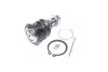 Опора кульова TOYOTA YARIS 99- RIDER RD4806809080 (фото 2)