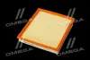 Фільтр повітряний ExtraClean OPEL RIDER REC130031 (фото 2)