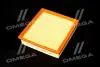 Фільтр повітряний ExtraClean FORD RIDER REC130078 (фото 2)