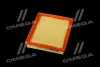 Фільтр повітряний ExtraClean TOYOTA RIDER REC130097 (фото 2)
