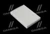 Фільтр салону ExtraClean DACIA RIDER REC610273 (фото 1)
