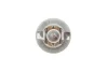 Автолампа 24V 1.2W B8.5d Grey (в щиток приладів) RING R508T (фото 3)