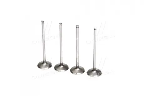 ENGINE VALVE F22A ACC 90 ROCKY HMA1130