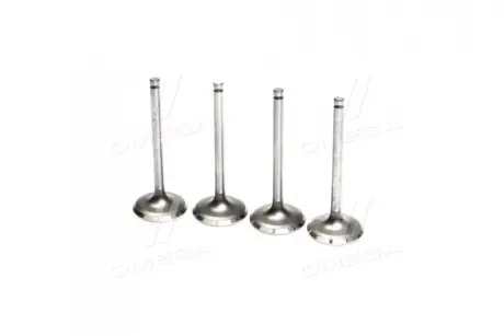 ENGINE VALVE CD20-IN ROCKY NA1350