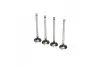 ENGINE VALVE E13/E15-EX ROCKY NB790 (фото 1)
