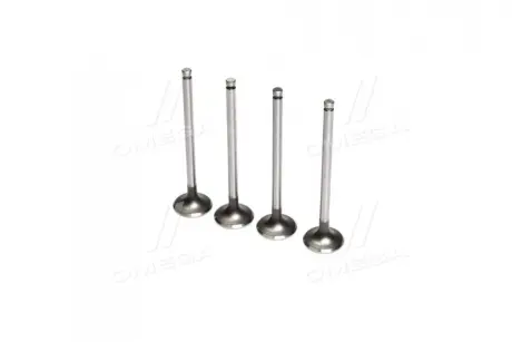 ENGINE VALVE E13/E15-EX ROCKY NB790