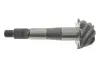 Головна пара в міст Nissan Navara (37x8) ROTWEISS 38100F5680 (фото 2)