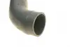 Патрубок інтеркулера Citroen Jumper/Peugeot Boxer 2.0BlueHDi 15-19 ROTWEISS RWS2420 (фото 4)