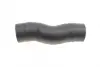Патрубок інтеркулера Citroen Jumper/Fiat Ducato/Peugeot Boxer 3.0 HDI 06- ROTWEISS RWS2475 (фото 4)