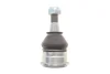 Опора кульова (передня/знизу) Citroen C1/Peugeot 107/108 05-/Toyota Yaris 99-12 (d=36.75mm) RTS 9302523015 (фото 4)