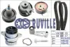 Водяной насос + комплект зубчатого ремня RUVILLE 55456702 (фото 1)