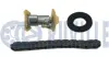 К-кт ланцюга ГРМ Ford/PSA/Opel 1.5BlueHDI RUVILLE 580215 (фото 1)