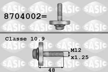 Болт SASIC 8704002