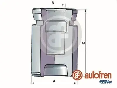 Поршень супорта гальмівного SEINSA AUTOFREN D025370