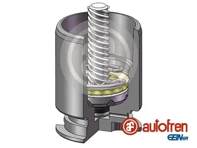 Поршень супорта з мех. зад. C4 06-/Mondeo III 00-/Octavia II/Caddy III 04- (38x49mm)Л.(Bosch) SEINSA AUTOFREN D02554LK