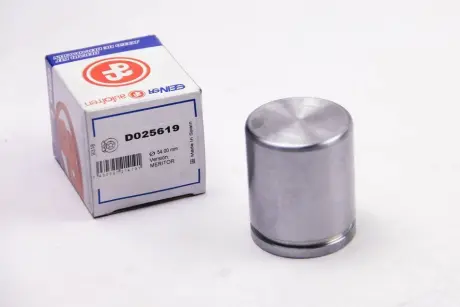 Поршень супорта гальмівного SEINSA AUTOFREN D025619