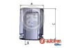 Поршень супорта зад. W447 14- (42x55mm)(Brembo) SEINSA AUTOFREN D025770