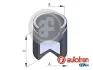 Поршень супорта пер. Insignia B 17- (57x56mm) SEINSA AUTOFREN D025803 (фото 1)