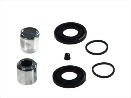 Ремкомплект супорта SEINSA AUTOFREN D41595C